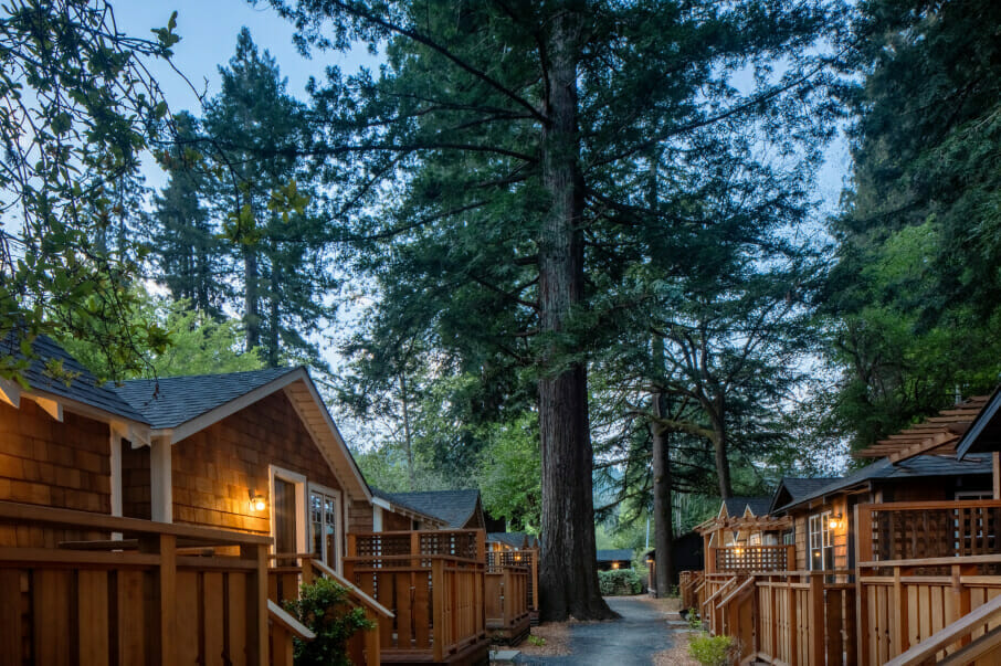 Redwood Cabin 3