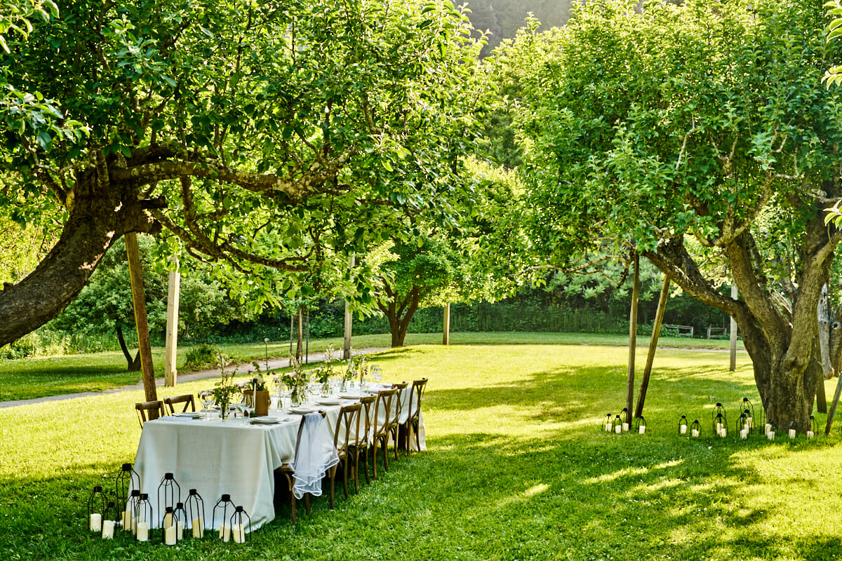 Intimate dinner in the Orchard