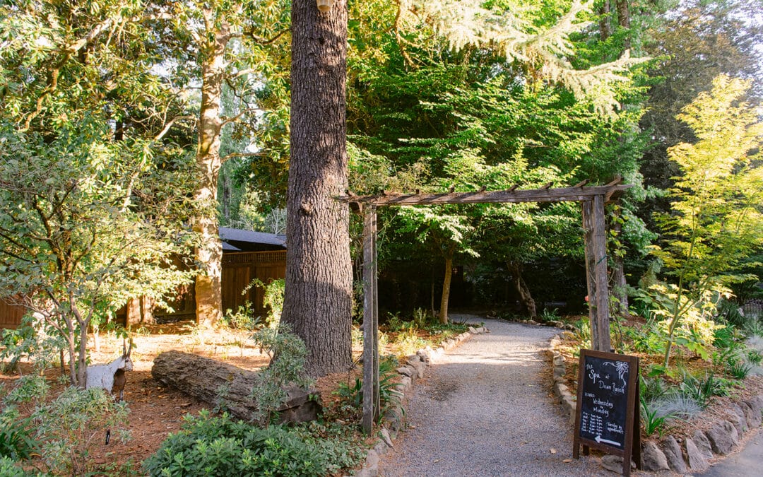 12 Wellness Retreat Essentials For A Sonoma County Spa Getaway