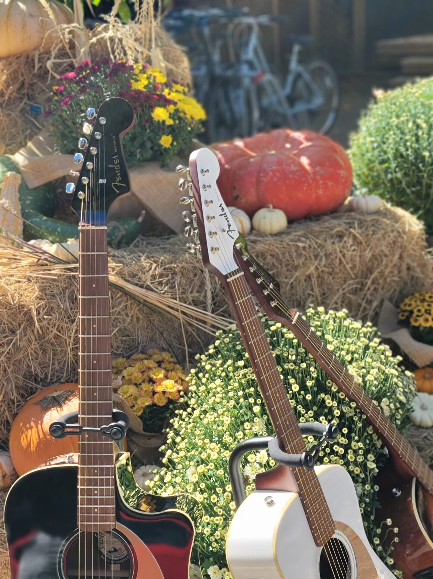 Fender Guitars at Dawn Ranch