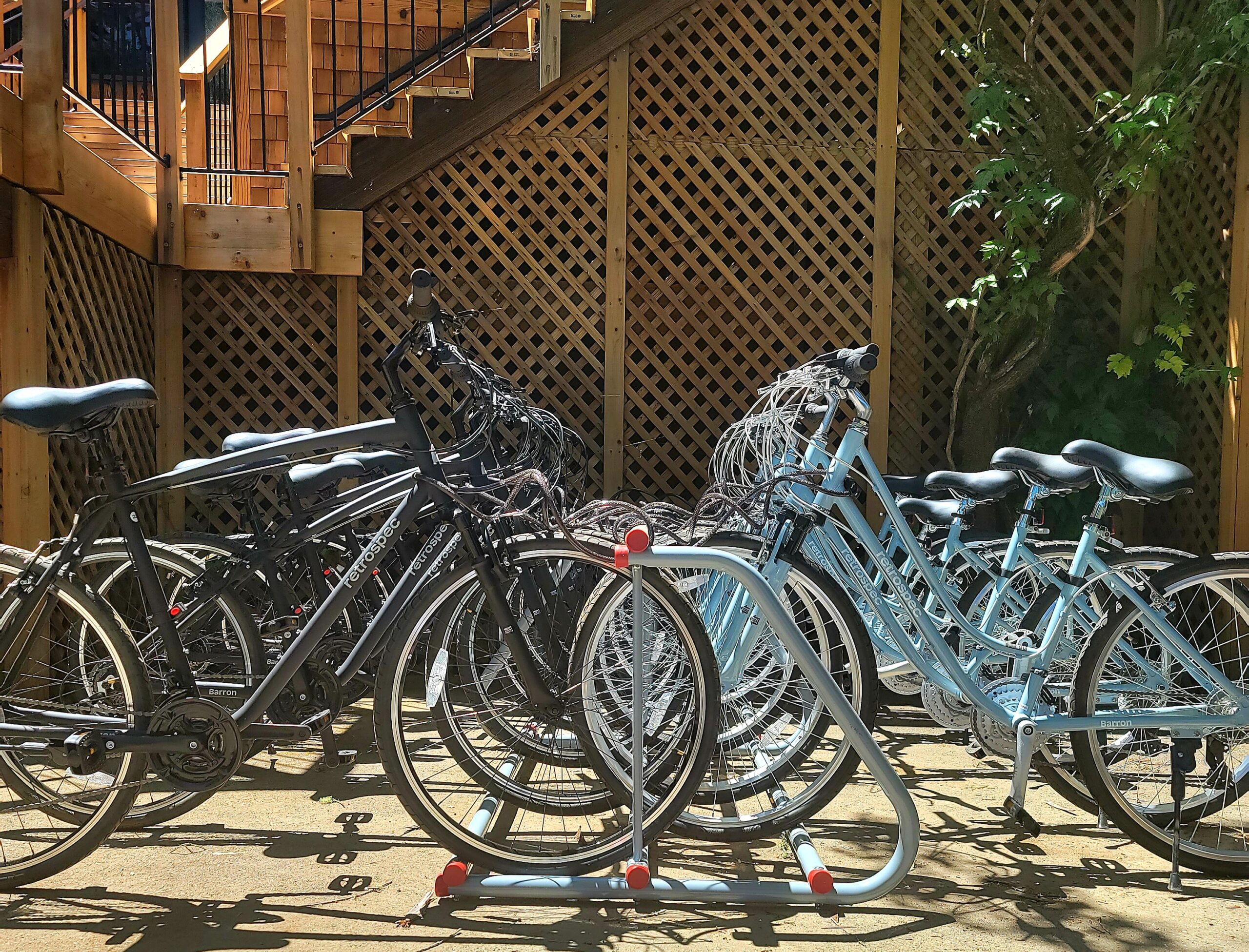 Bicycles at Dawn Ranch