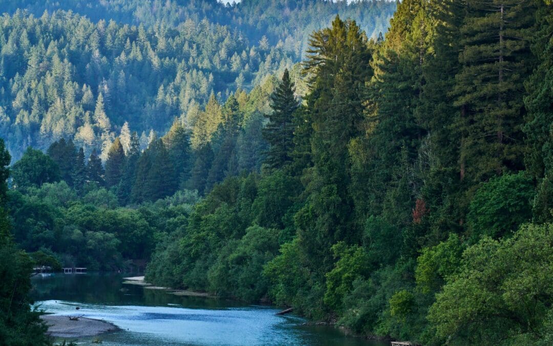 The Northern California Corporate Retreat: A Guide to Guerneville’s Hideaway