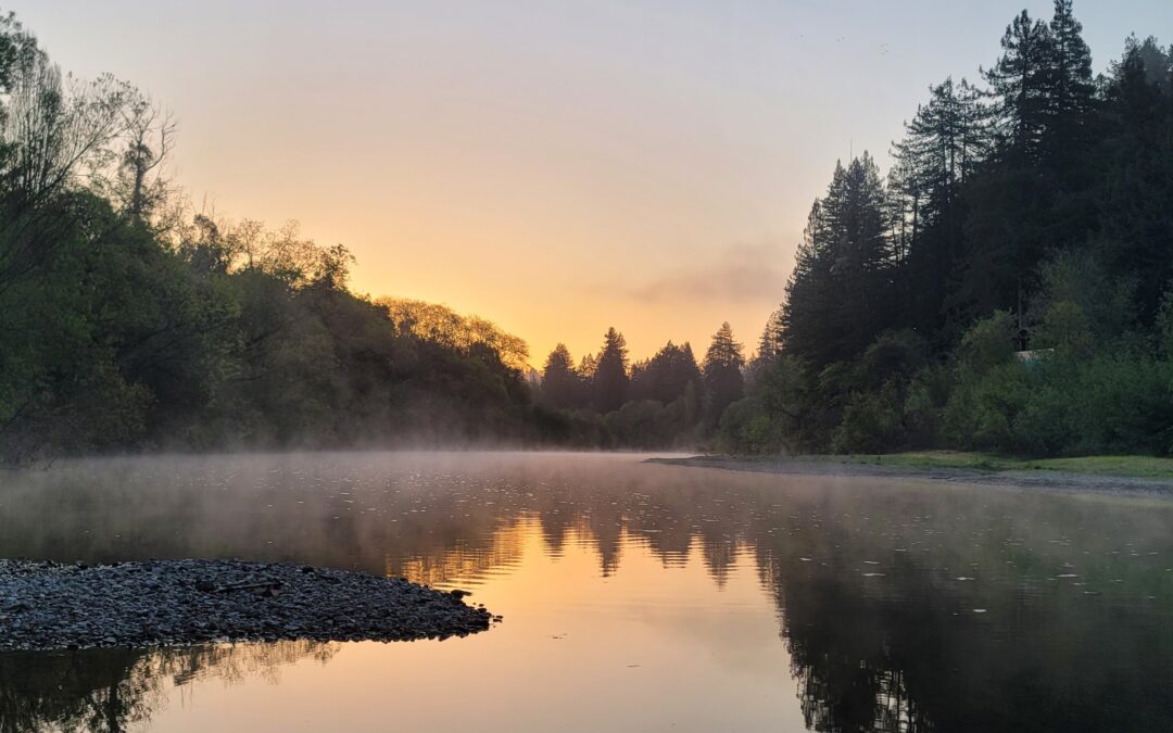 Summer Weekday Escapes: Beat the Crowds and Bask in Russian River Bliss