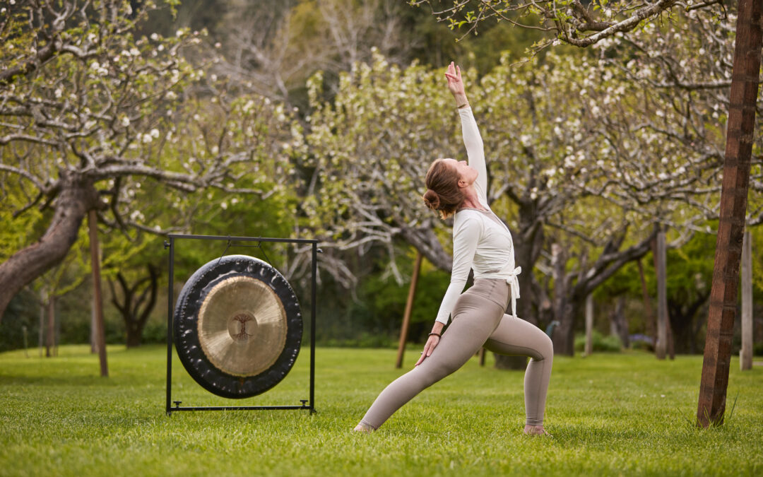 Welcome to Dawn Ranch: A Creative Retreat in the Heart of Sonoma