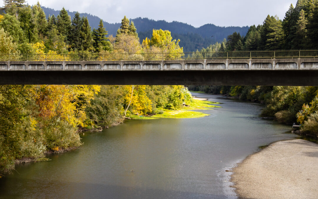 Fall Foliage and Fireside Escapes: The Best Weekday Getaways in Sonoma