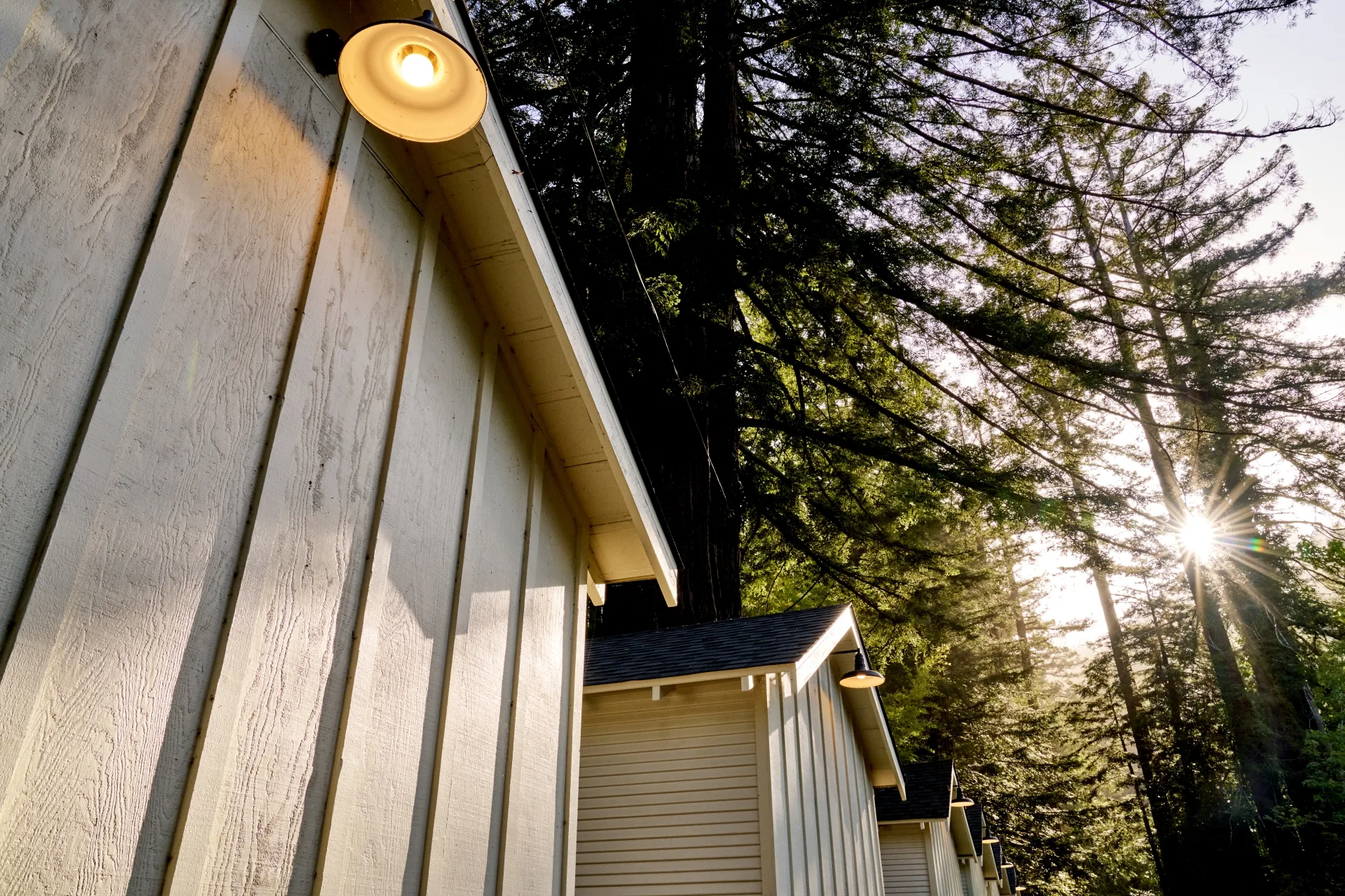 Cabins Near Armstrong Redwoods