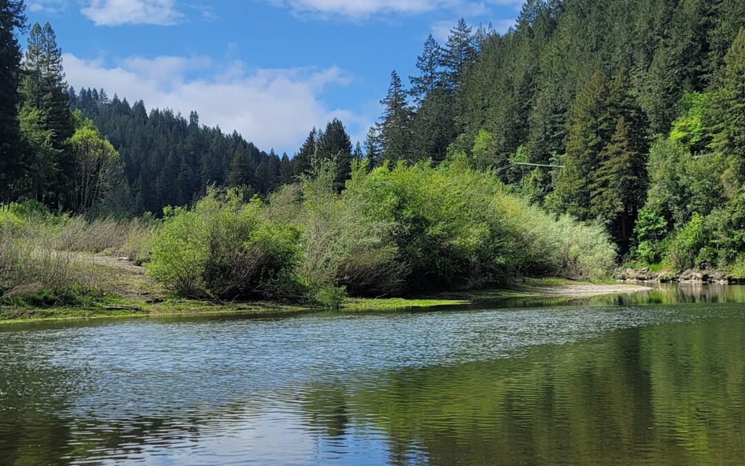 Summer Weekday Escapes: Beat the Crowds and Bask in Russian River Bliss