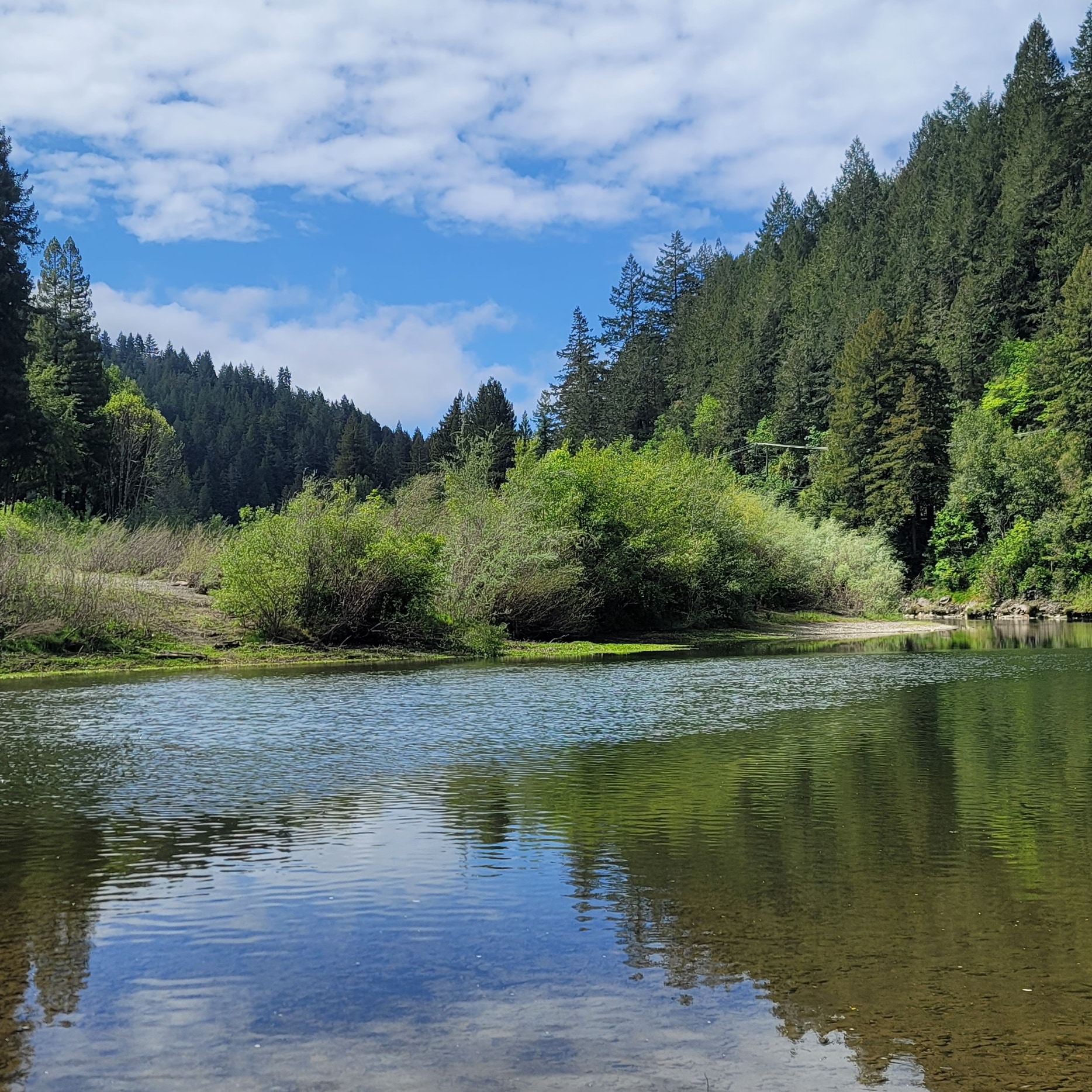 Russian River at Dawn Ranch