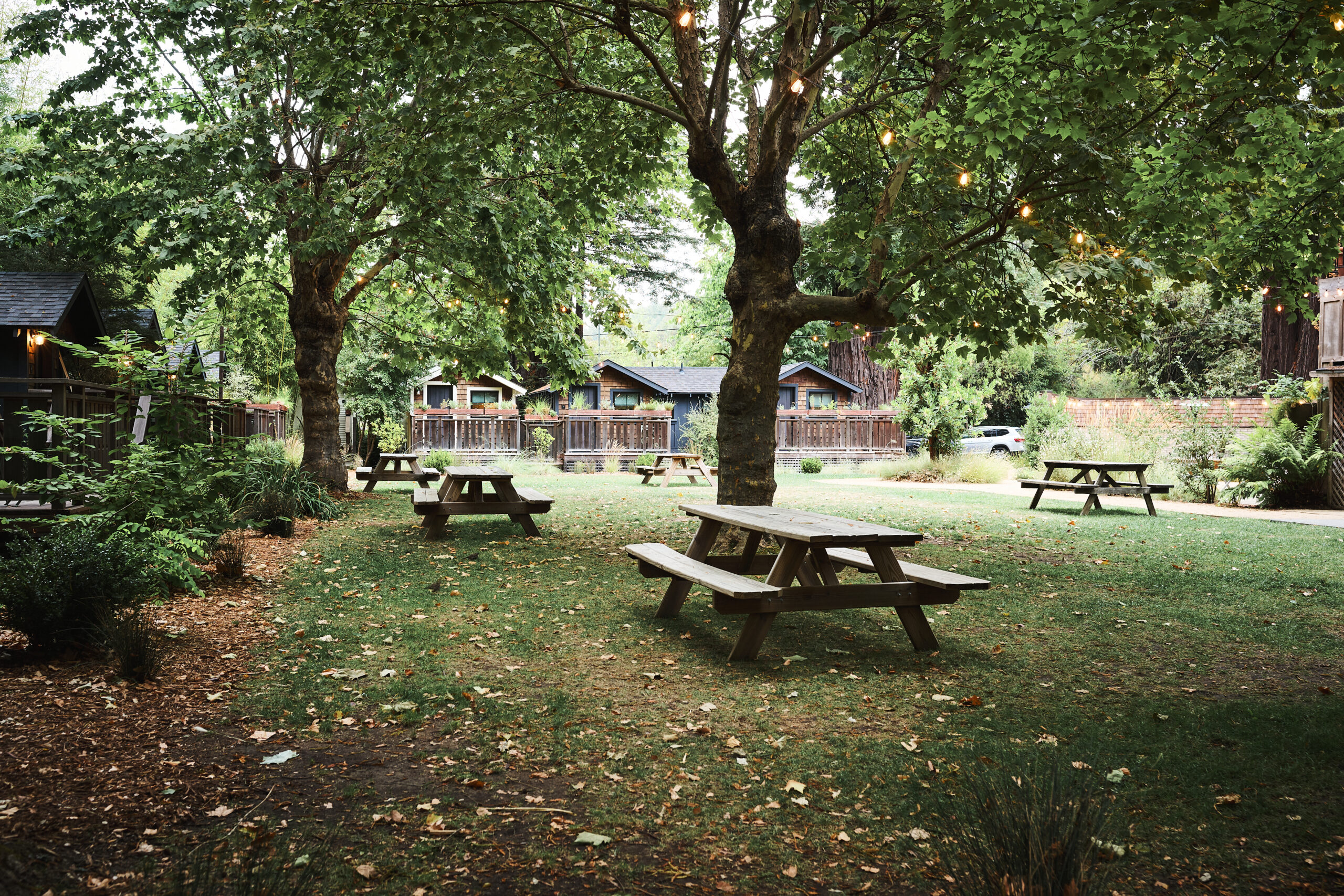 Picnic tables at Dawn Ranch