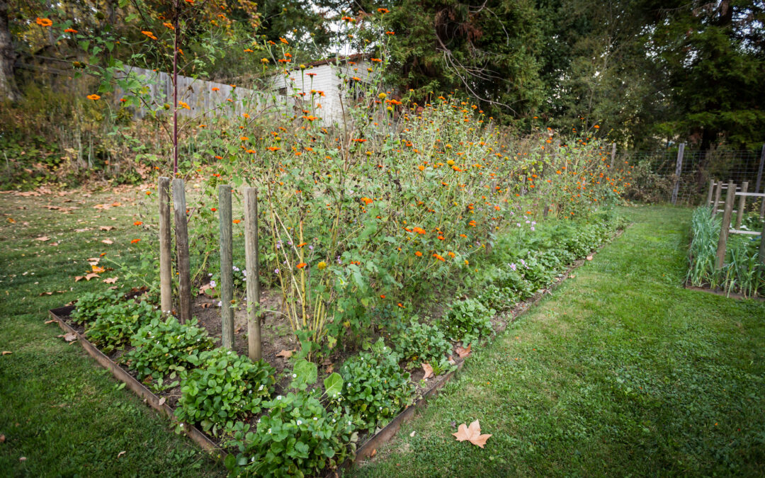 Sustainable Luxury at Dawn Ranch: Where Nature Leads the Way