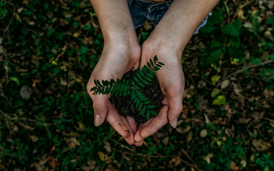 Sustainable Luxury at Dawn Ranch: Where Nature Leads the Way